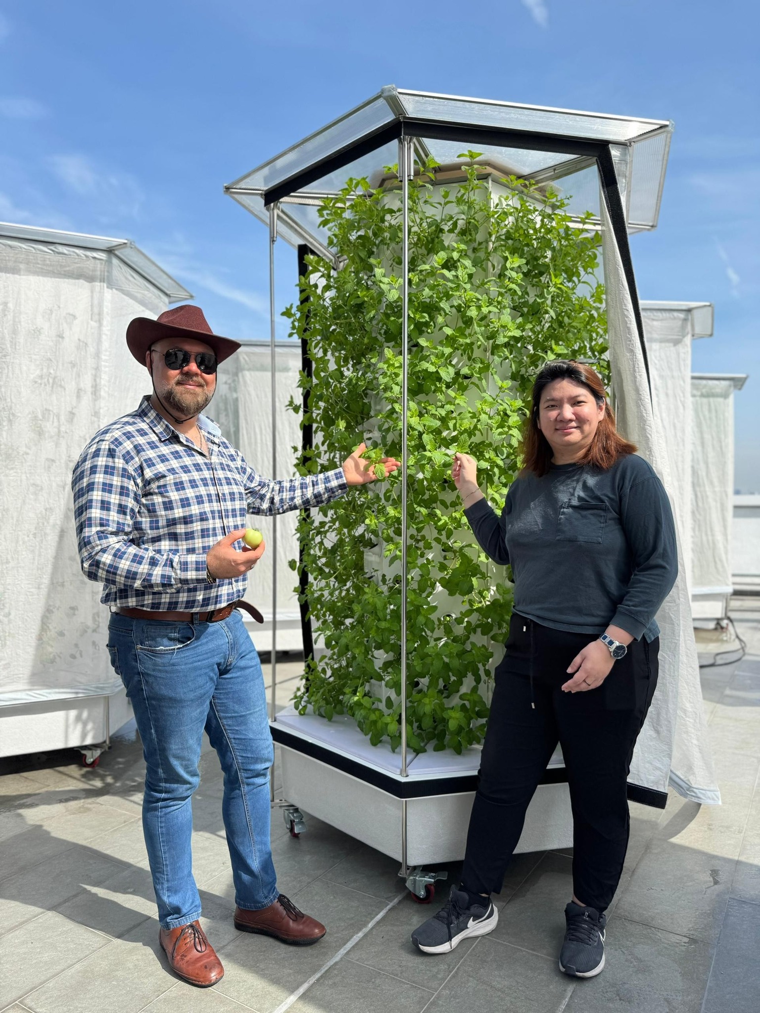 Team meeting in a sustainable office